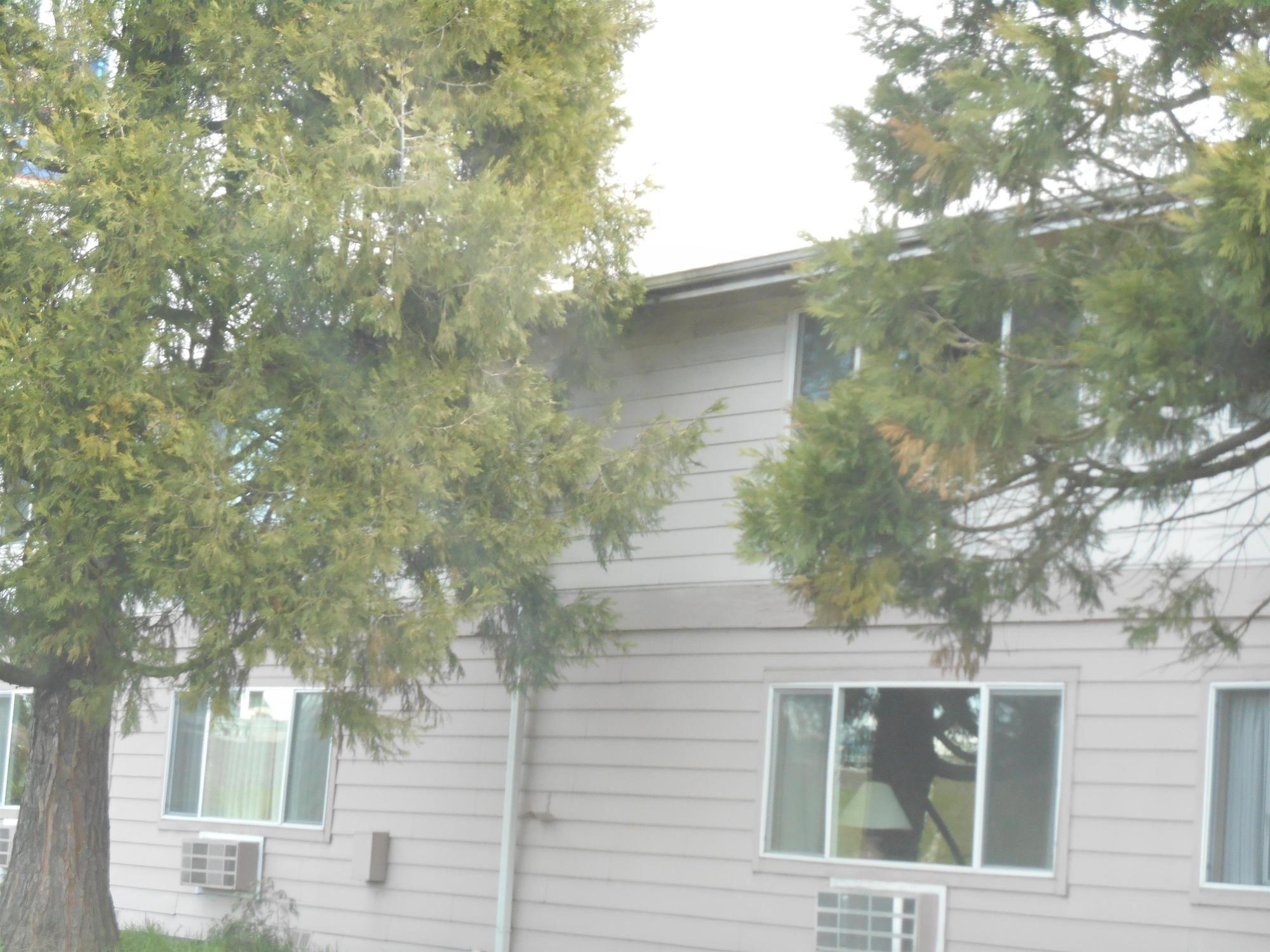 Guesthouse Inn & Suites Eugene/Springfield Exterior foto