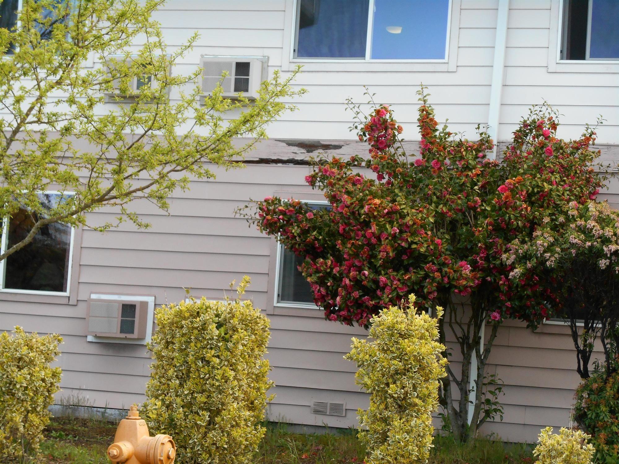 Guesthouse Inn & Suites Eugene/Springfield Exterior foto