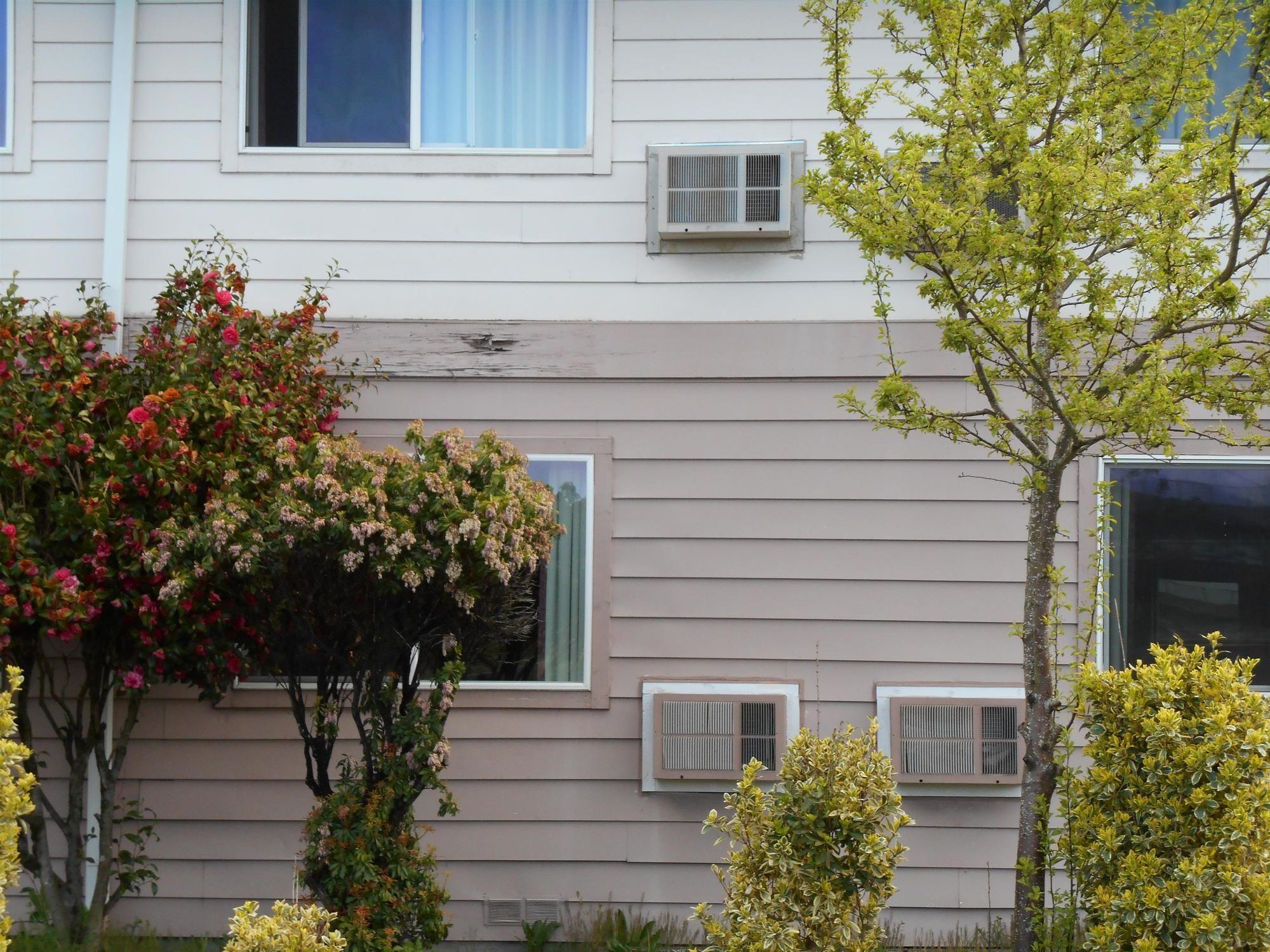 Guesthouse Inn & Suites Eugene/Springfield Exterior foto